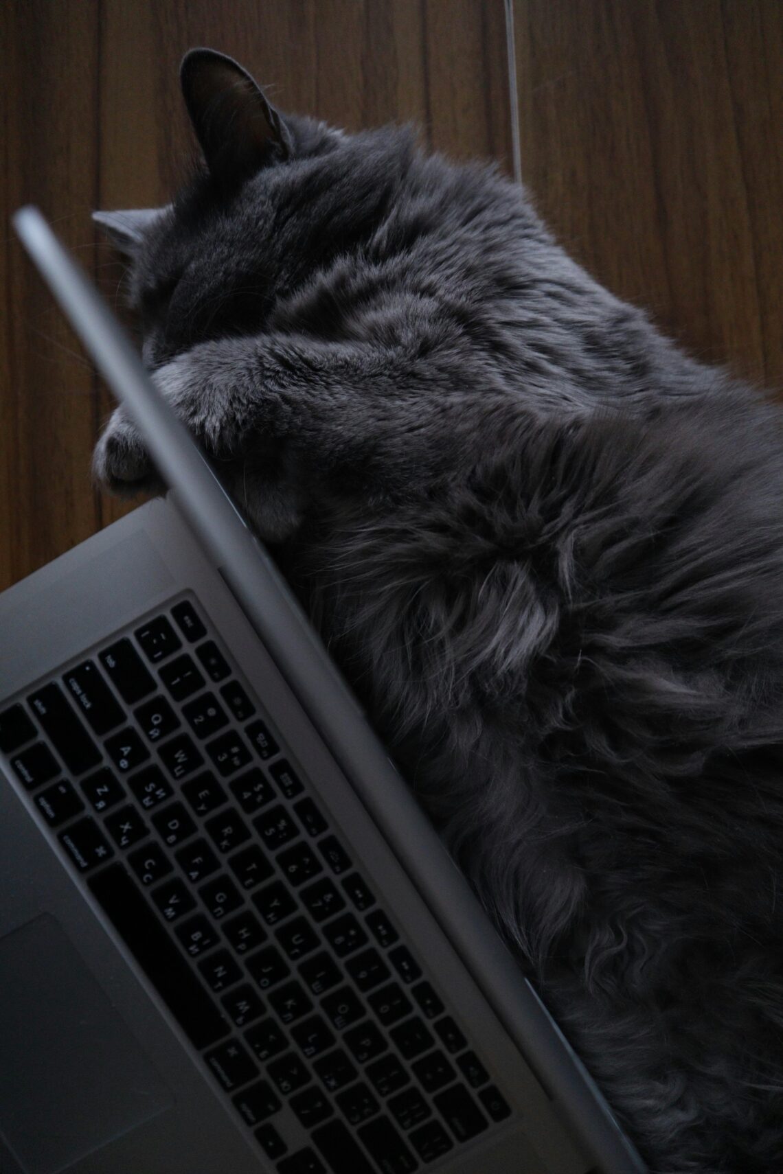 IFRS 16 Discount Rate