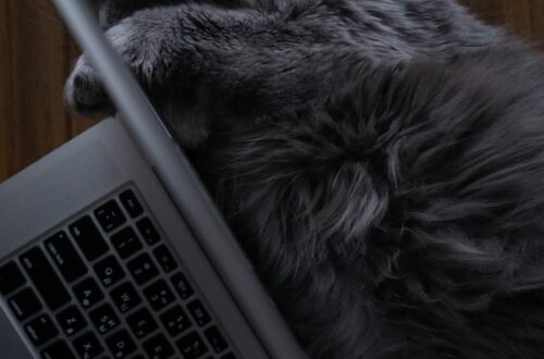 IFRS 16 Discount Rate