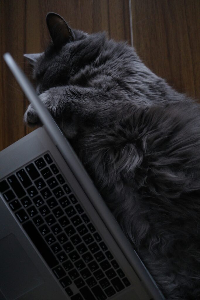 IFRS 16 Discount Rate